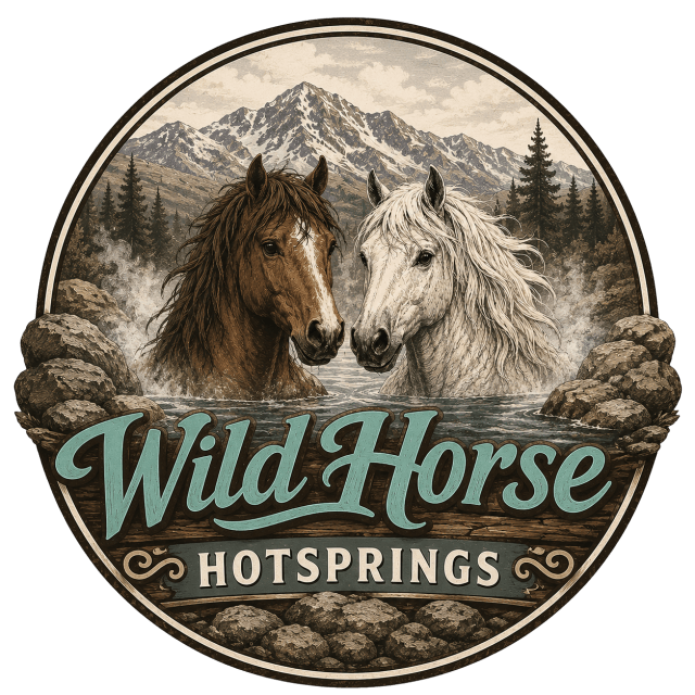 Two horses in water, mountains in background, text 'Wild Horse Hot Springs' on circular border.